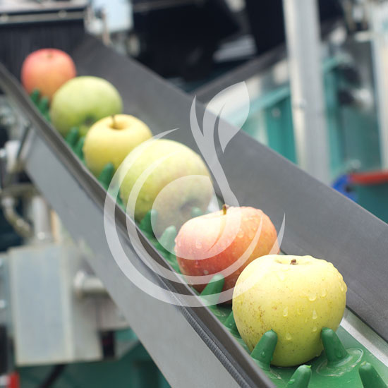 Упаковочное оборудование»